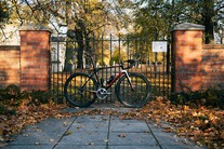 Giant Tcr Advanced