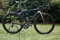 Giant TCR Advanced Pro 1 2017