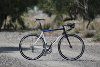 giant tcr c2 photo