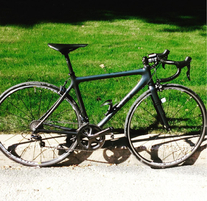 Giant tcr composite0 photo