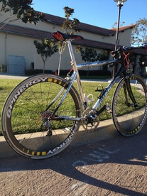 Giant TCR2 (17.00 LBS) photo