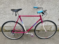 Giant Team Road Bike 1992