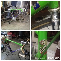 gios evolution 1990's photo