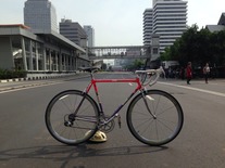 Gios Evolution photo