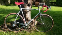 Gios Evolution photo