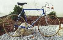 Gios torino photo Gios torino photo
