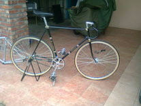 Gitane Classic Fixed Gear Convert