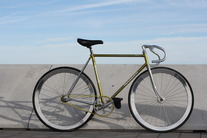 Gold Razesa Pista