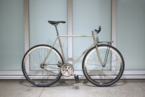 Gold/Rainbow Flake Samson NJS photo