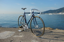 Goldsprint Colossi Rambler Track