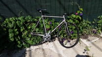 GT Edge AL photo