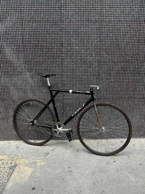 GT GTB photo