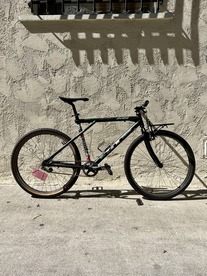 GT Ricochet townie bike photo