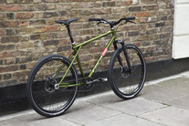 GT Ruckus Single Speed photo