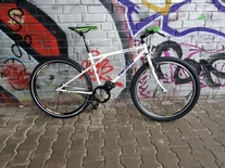 GT Talera Fixed Gear