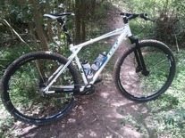 GT Zaskar 22 29er 17lbs of speed