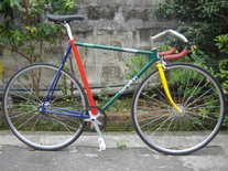 Hgcolors Custom Sprint Bike