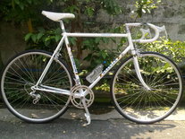 Hgcolors Gazelle Road Bike