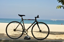 hi-tensile steel fixed gear