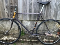 Higgins ultralight Road/ path model