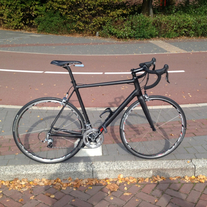 Honorbike FM066 SL photo