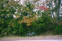 Icarus Light Tourer-Forest Service Green