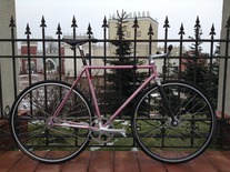 Iribe NJS Track Bike Pink photo