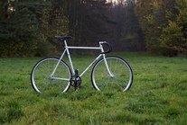 IRIDE Salix