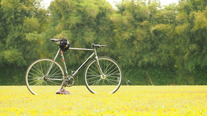 KHS Flite 220 FixedGear photo