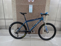Klein Attitude XV