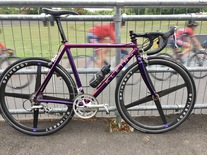 Klein Quantum 2000 55cm Purple Haze