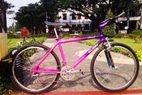 FOR SALE!  Klein Rascal Magenta '90