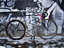 koga miyata exerciser fixie