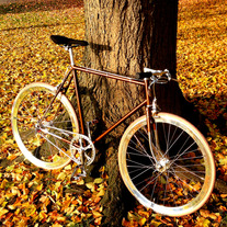 Koga Miyata Gent´s Luxe Singlespeed photo