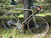 Koga Miyata Gent´s Racer