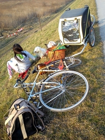 Koga Miyata Gent’s Touring – 1978 photo