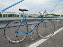 Koga Miyata Pro Luxe