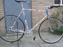 kyoso custom painted steel bike