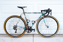 Land Shark Road Shark 51cm