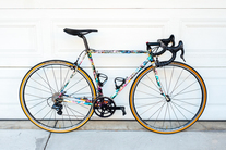 Land Shark Road Shark 51cm