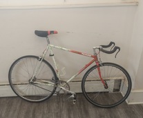 Land Shark TT Singlespeed Conversion photo
