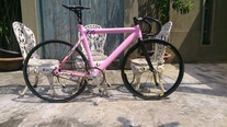 Leader 725 x Repaint Pink photo