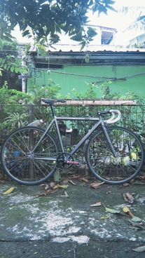 Leader Kagero 2011
