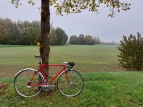 LeTo Cyclocross