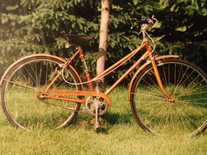 1999 Lever Drive Bike
