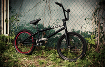 LIQUOR OG Custom bmx bike photo