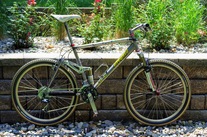 Litespeed Ocoee F/S '95 photo