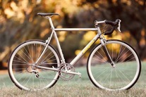 Litespeed Palmares