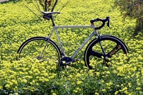 Litespeed Team Issue Titanium photo