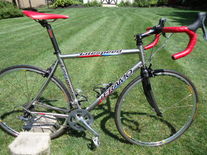 Litespeed Teramo photo